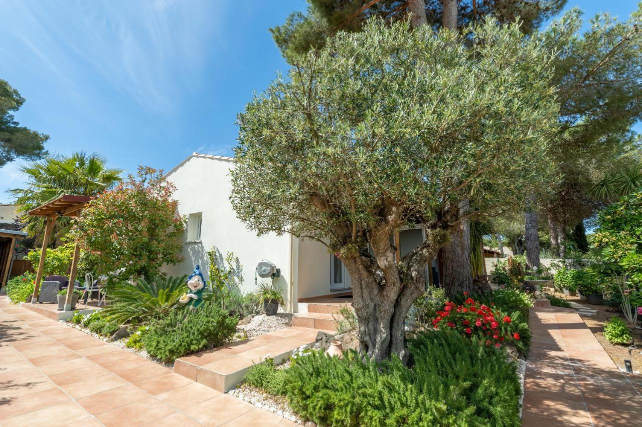La Villa De L'Olivier Agde Eksteriør billede